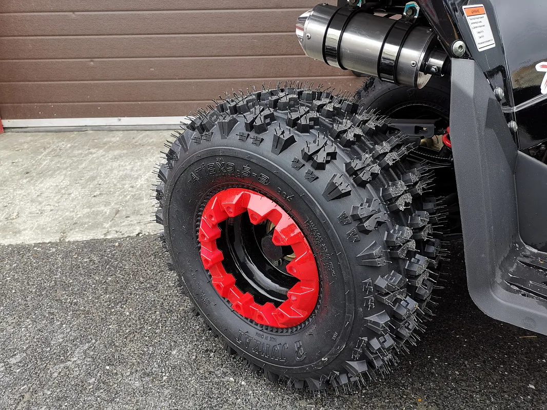 PROMAX SPORT - PRO 180 (2025)